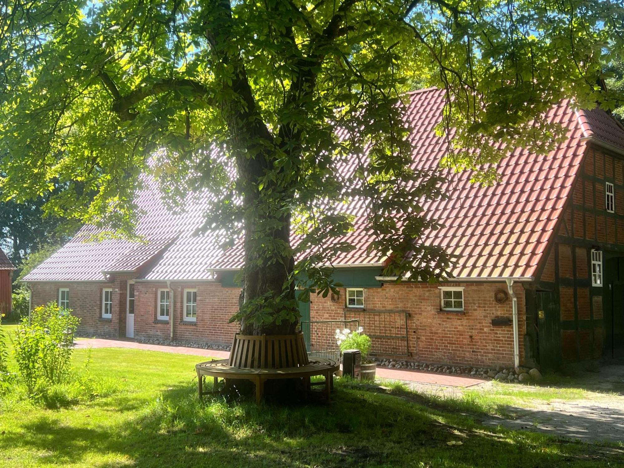 Ferienwohnung Mit Garten In Meyenburg - Keine Monteure Schwanewede エクステリア 写真